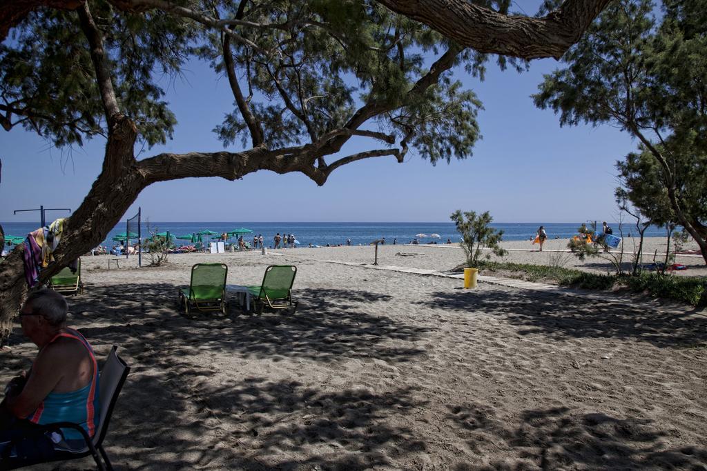Gold Platanes (Rethymno)