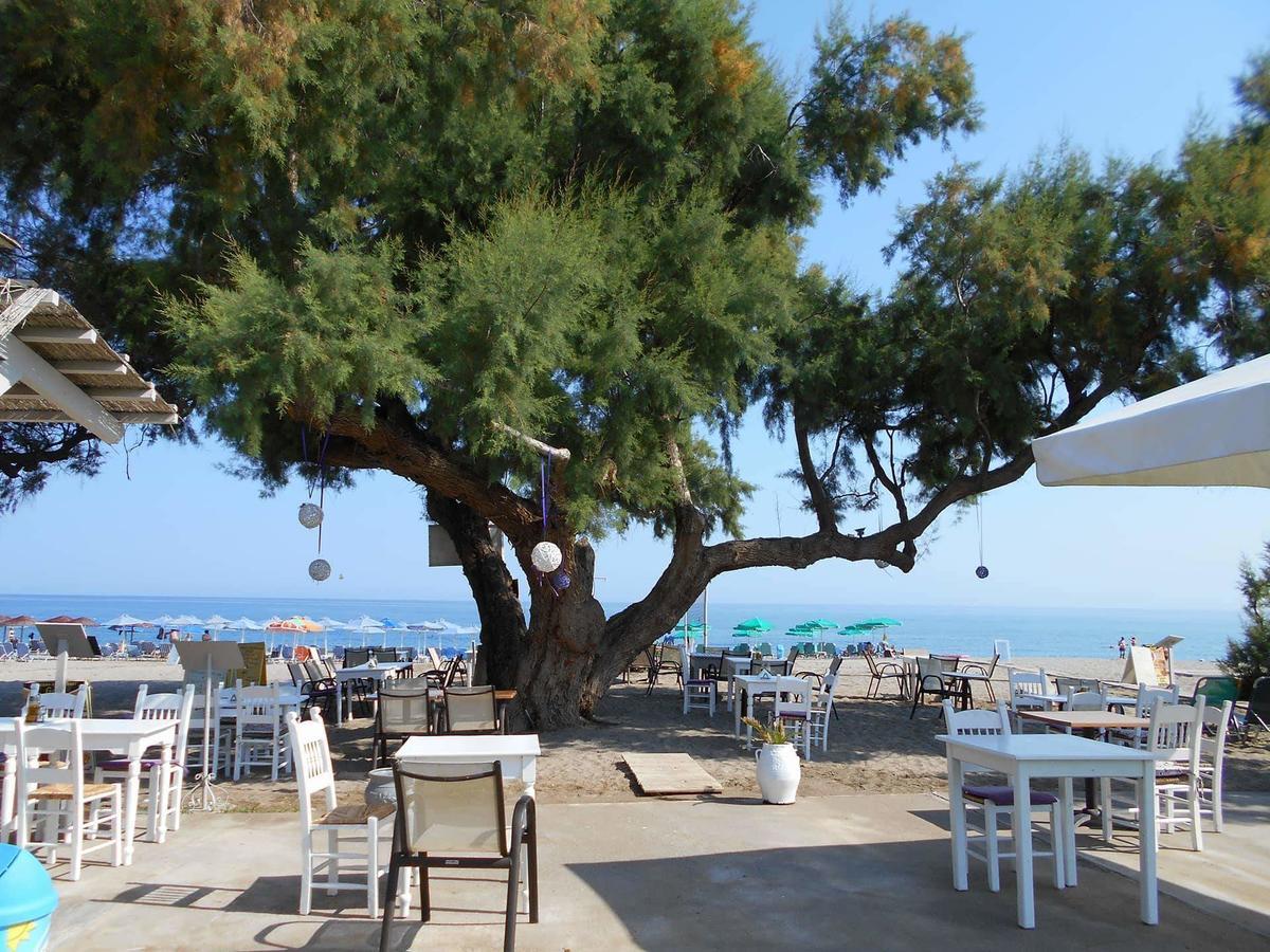 Gold Apartment Platanes (Rethymno)